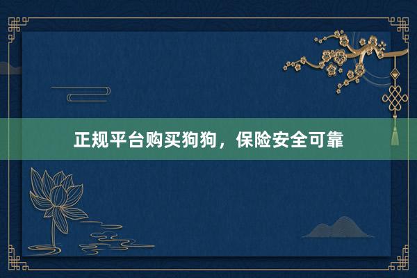 正规平台购买狗狗，保险安全可靠